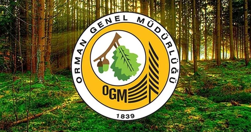 Orman Genel Müdürlüğü: Yangınlara müdahale devam ediyor