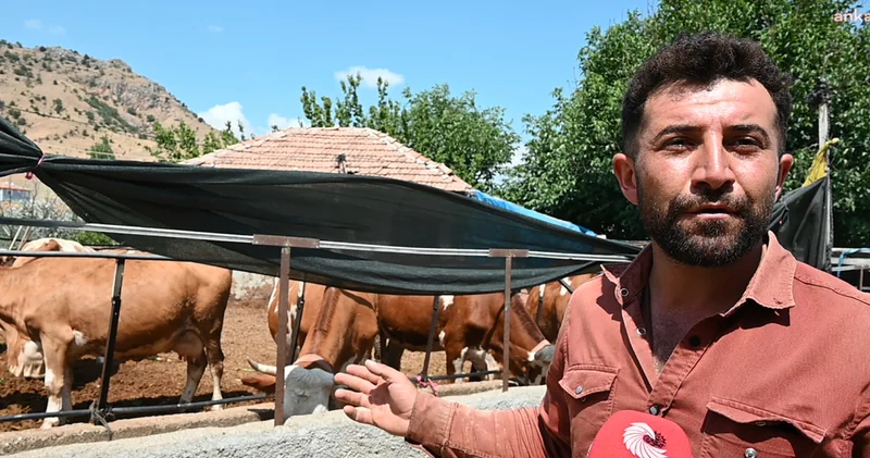 Süt üreticisinden çiğ süt fiyatına tepki: Ne hayvanın masrafını ne de tarlanın masrafını karşılayabiliyorum