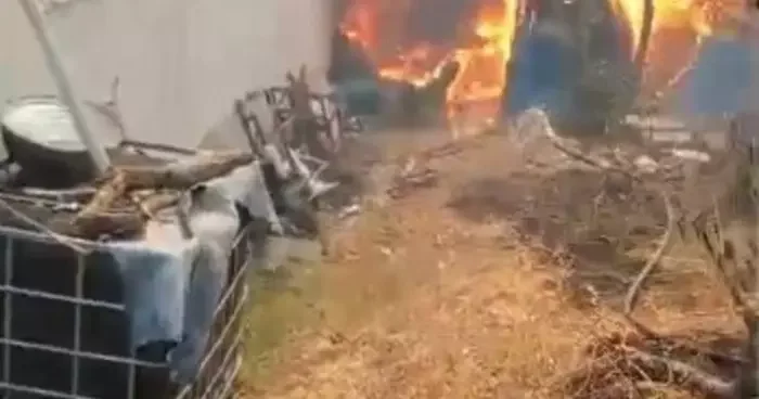 Orman yangını köye indi: Kaç, artık hiçbir şey yapamayız