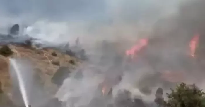 Sivas’ta ağaçlık alanda yangın çıktı, ekiplerin müdahalesi sürüyor