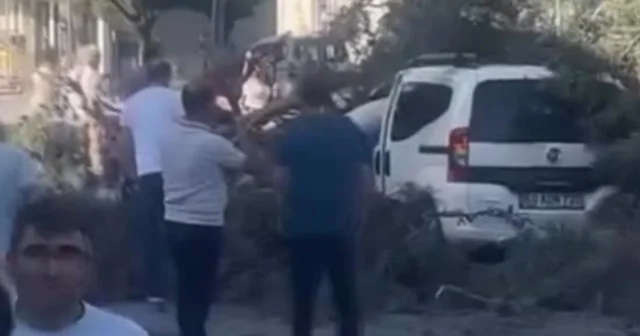 Rüzgar nedeniyle devrilen ağaç, hafif ticari aracın üzerine düştü Kocaeli Haberleri