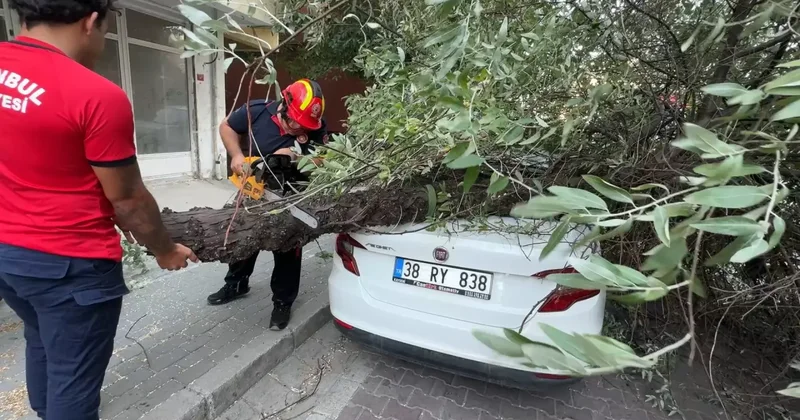 İstanbul da korku dolu anlar: 3 ağaç birden devrildi!