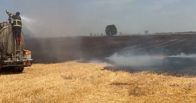 Kırklareli nde anız yangını çıktı VİDEO İZLE
