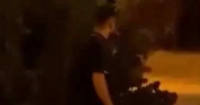 Üniversite yerleşkesine giren domuzları havlayarak kovaladı VİDEO İZLE