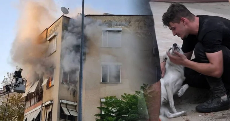 Yangında iki köpek mahsur kaldı! Yardıma itfaiye koştu