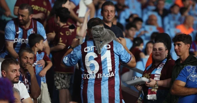 Fanatik kedi Tom a maç izlemek için stadyuma vize Trabzon Haberleri
