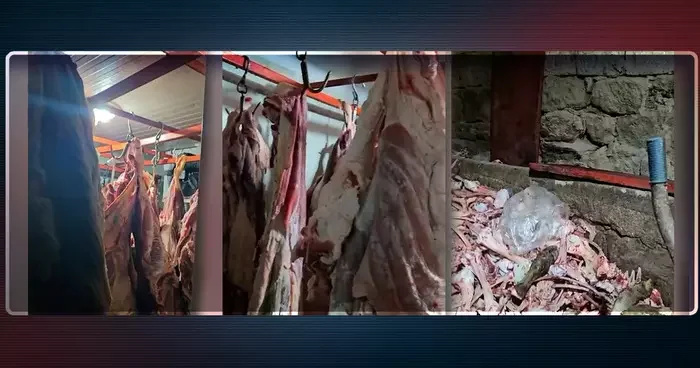Tarım Bakanlığı duyurdu! Ahırda bulundu, vatandaşlara yedirilecekti: Mide bulandıran görüntü