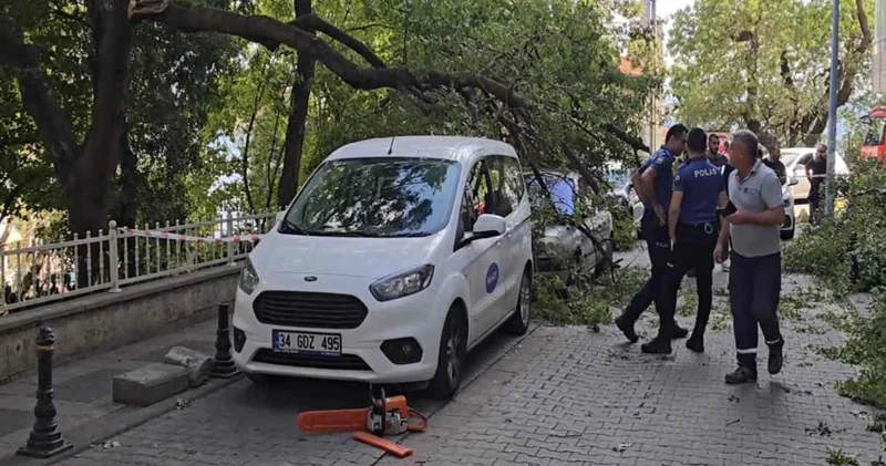 Kadıköy’de devrilen ağaç iki araca zarar verdi
