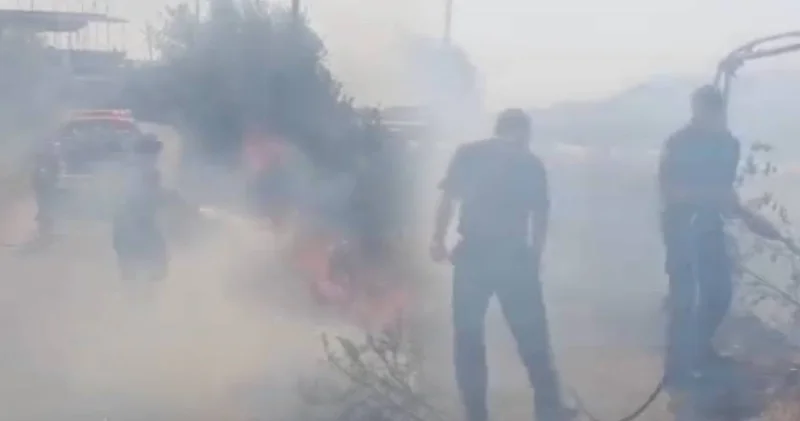 Antalya’da yangın paniği! Meyve ağaçları küle döndü