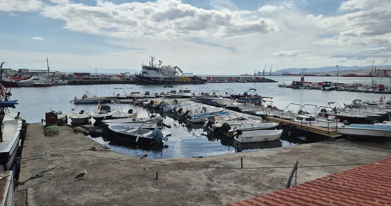 Tekirdağ da çıkan poyraz, umutları erteletti: Tekneler limana çekildi