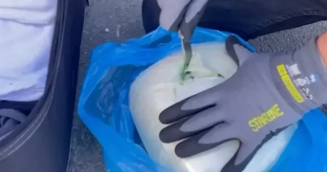 Kayseri’de torbacılara eş zamanlı operasyon: 1 gözaltı VİDEO İZLE