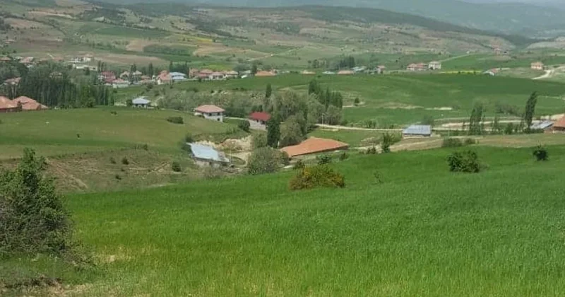 Bu köydeki herkes aynı ülkeye göç etti Sözcü Gazetesi