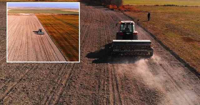Hububat ekiminde su tasarruflu ürün tercih edin uyarısı Konya Haberleri