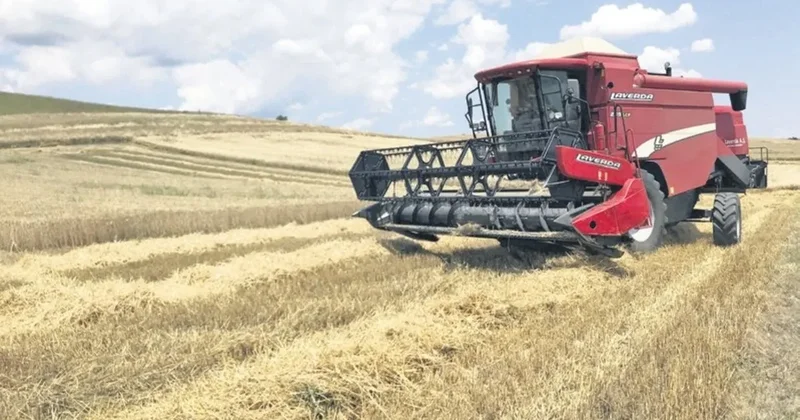 Çoban desteği 81 bine çıktı