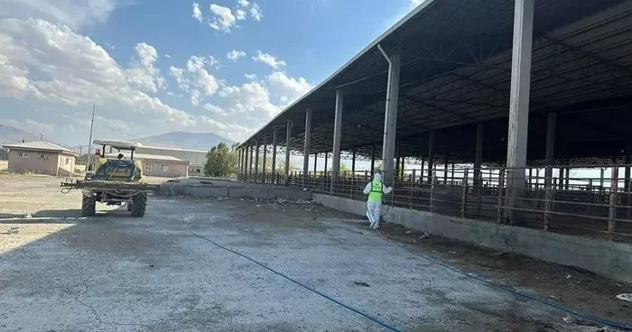 Hayvan pazarında dezenfeksiyon çalışması yapıldı