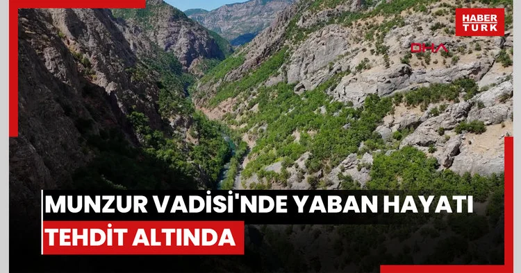 Munzur Vadisi’nde araç ve insan baskısı yaban hayatını tehdit ediyor