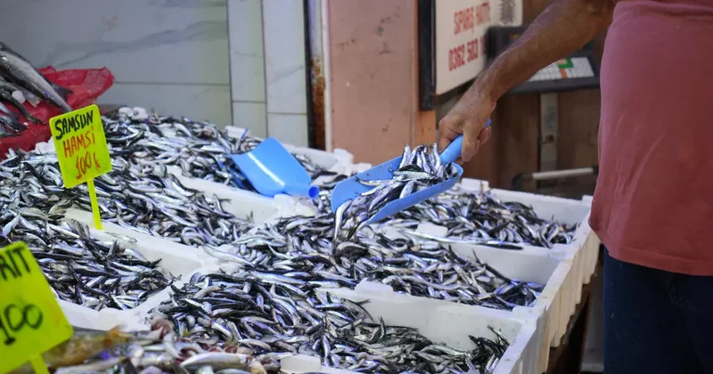 Karadeniz in incisi hamsi tezgahlarda: Ne alırsan 100 TL