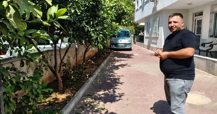 Antalya da portakal koparma kavgası