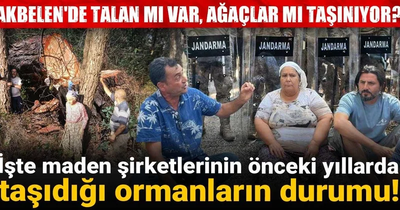Akbelen de talan mı var, ağaçlar mı taşınıyor? İşte maden şirketlerinin önceki yıllarda taşıdığı ormanların durumu!