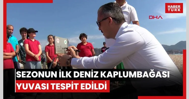 Çıralı da sezonun ilk deniz kaplumbağası yuvası tespit edildi, yasaklar başladı