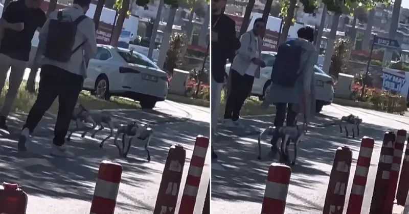 Görüntü İstanbul dan! Tasma taktıkları robot köpekleri sokakta gezdirdiler