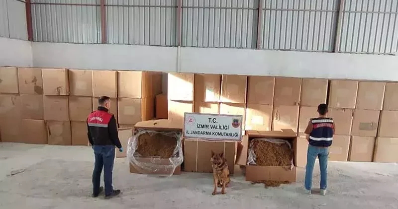 İzmir de 6 ton kaçak tütün ele geçirildi