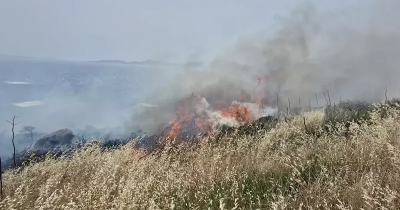 Bodrum da 5 hektarlık alan kül oldu