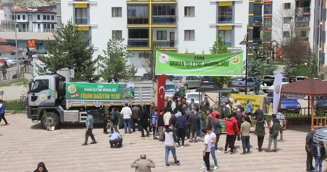 Zara da 5 bin çam fidanı dağıtıldı Sivas Haberleri