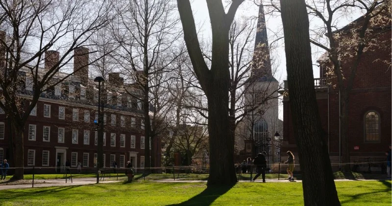 ABD ye izinsiz kurbağa embriyosu getiren Harvard lı Rus araştırmacı Petrova, 20 yıl hapisle yargılanıyor