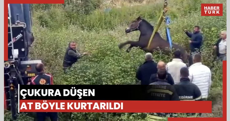 Edirne de çukura düşen at, vinçle kurtarıldı