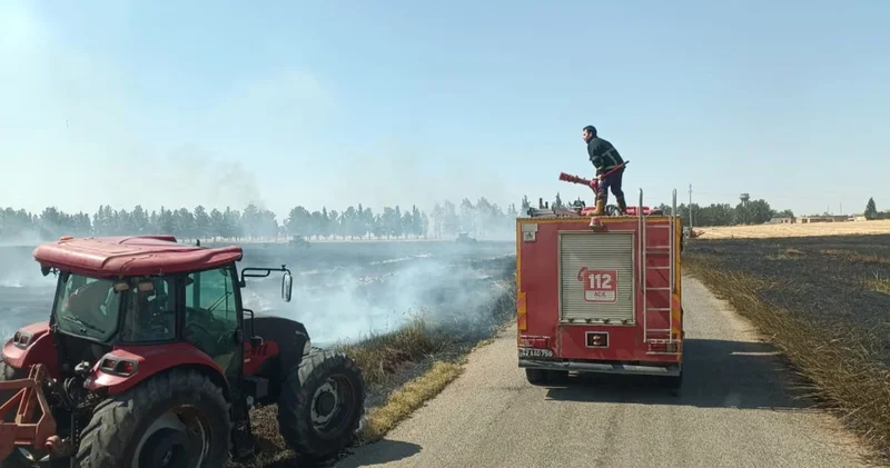 Mardin de yaklaşık 350 dekar buğday ekili alan yandı