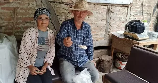 Zonguldak haberleri İki kardeş emekli olup köye döndü! Yetiştirdikleri bitkiyle bölgede ilk oldular 16 Haziran 2025