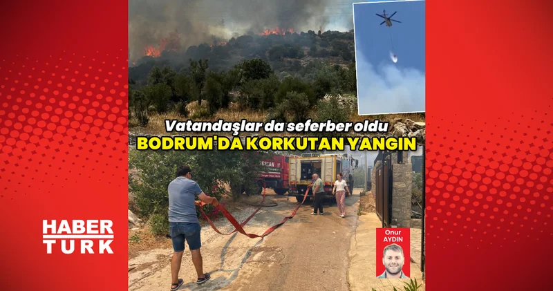 Türkbükü nde orman yangını çıktı