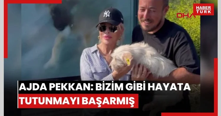 Ajda Pekkan: Bizim gibi hayata tutunmayı başarmış
