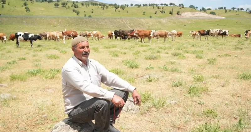 Çoban 1 milyon TL istedi! Köylü çözümü böyle buldu