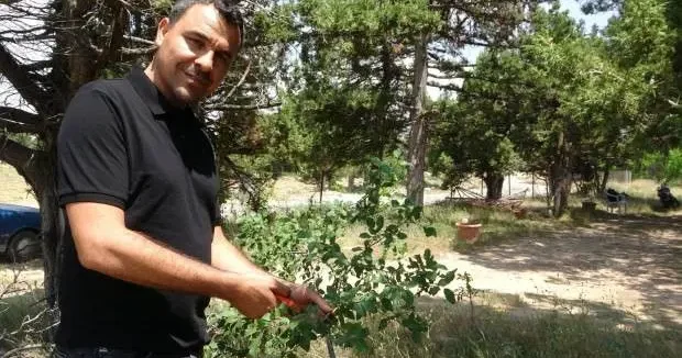 Mersin haberleri Mersin de akıl dışı olay: Ölmeden ölüm ilanı verildi 16 Haziran 2025