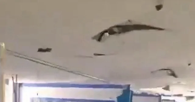 İsrail İran da hastane bombalamaya başladı: Kirmanşah ta tedavi gören siviller hedef alındı VİDEO İZLE