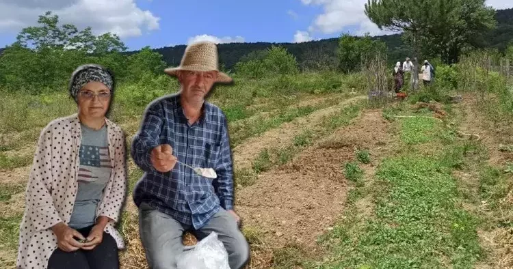 Zonguldak ın Devrek ilçesine yerleşerek bir ilke imza attılar! Çok merak eden, soran var