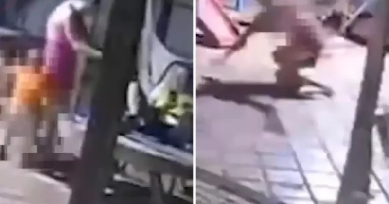 2 yaşındaki çocuk babasına ait silajla oynarken annesi öldürÇocuk, Oynadığı Silahla Annesini Vurdu