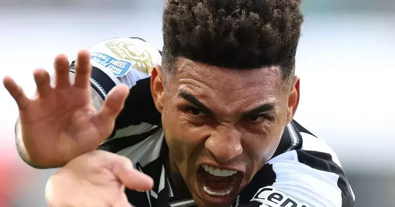 Botafogo ilk yarıda attığı gollerle kazandı Botafogo Seattle Sounders maç sonucu: 2 1 Fanatik Gazetesi Futbol Haberleri Spor