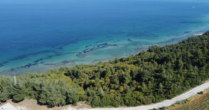 Askerin yazdığı destan, Çanakkale Savaşları’nın şiddetini yansıtıyor