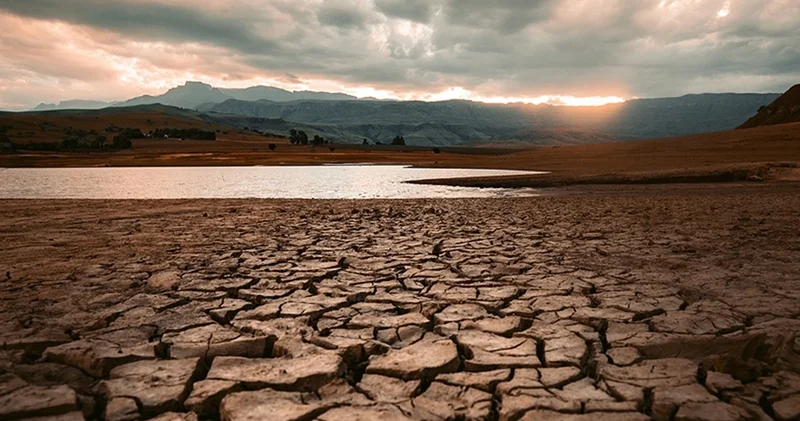 Kuraklık 2050 yılına kadar 1 milyar kişiyi göç ettirebilir
