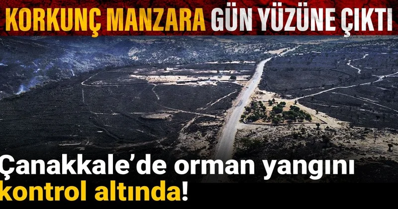 Çanakkale’de orman yangını kontrol altında! Korkunç manzara gün yüzüne çıktı