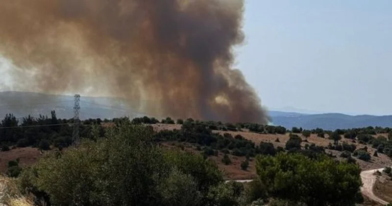 Tekirdağ ın ardından Bolu ve Balıkesir de de yangın