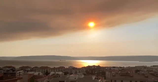 Tekirdağ da orman yangını; alevler Çanakkale sınırına geçti (7) Çanakkale Haberleri