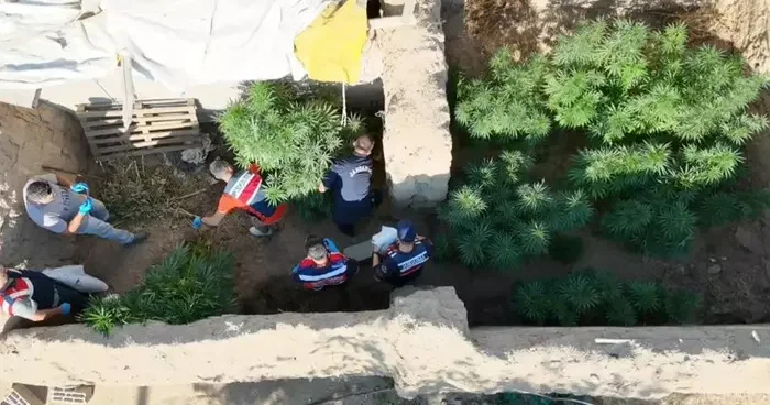 Aksaray da dron destekli uyuşturucu operasyonu: 1 tutuklama