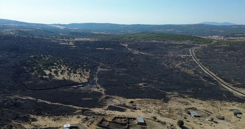 Çanakkale nin Ayvacık ilçesindeki yangın kontrol altına alındı