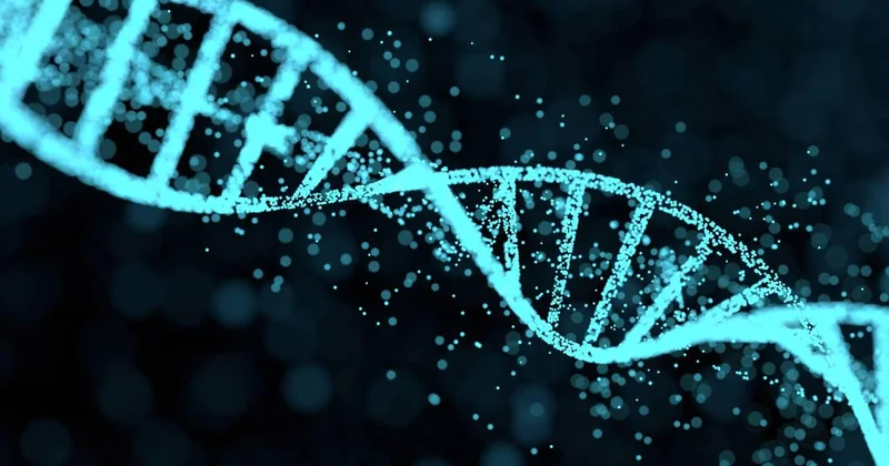 Bilim insanları 24 milyon yıllık gergedan fosilinden protein çıkardı