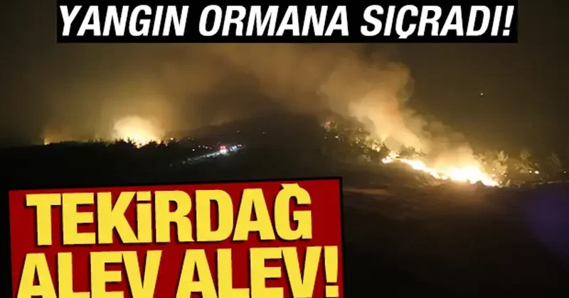 Tekirdağ alev alev! Yangın yerleşim yerlerine sıçradı