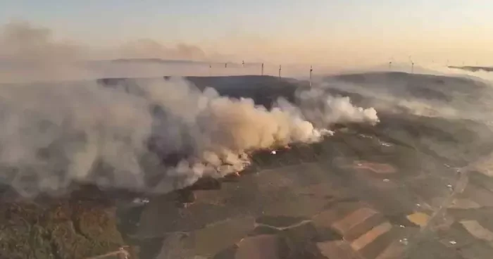 Şarköy’deki orman yangını 22. saatine girdi